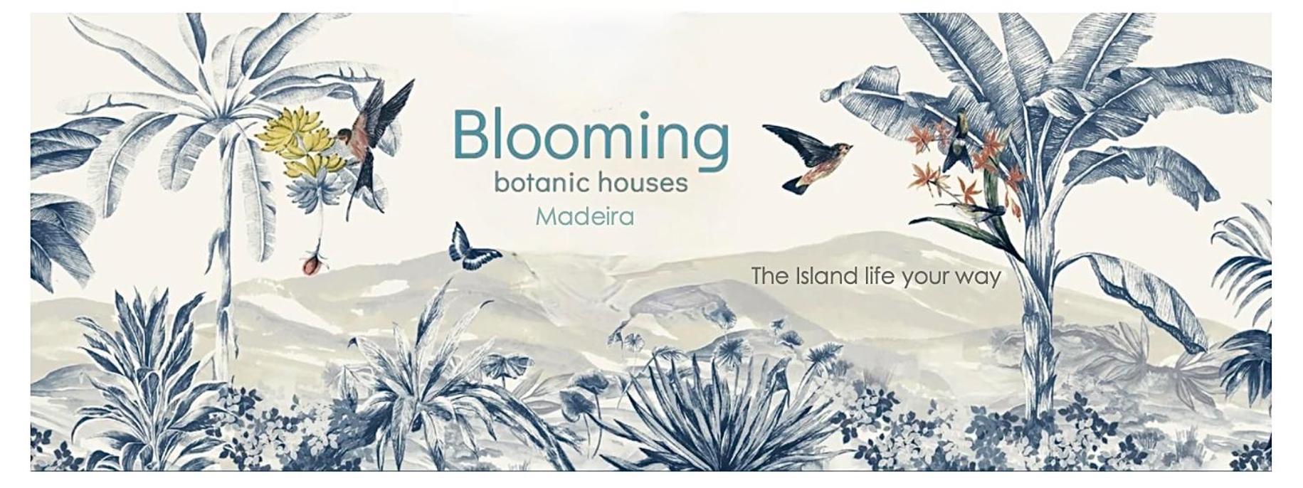 Blooming Botanic Houses Estreito Da Calheta 外观 照片