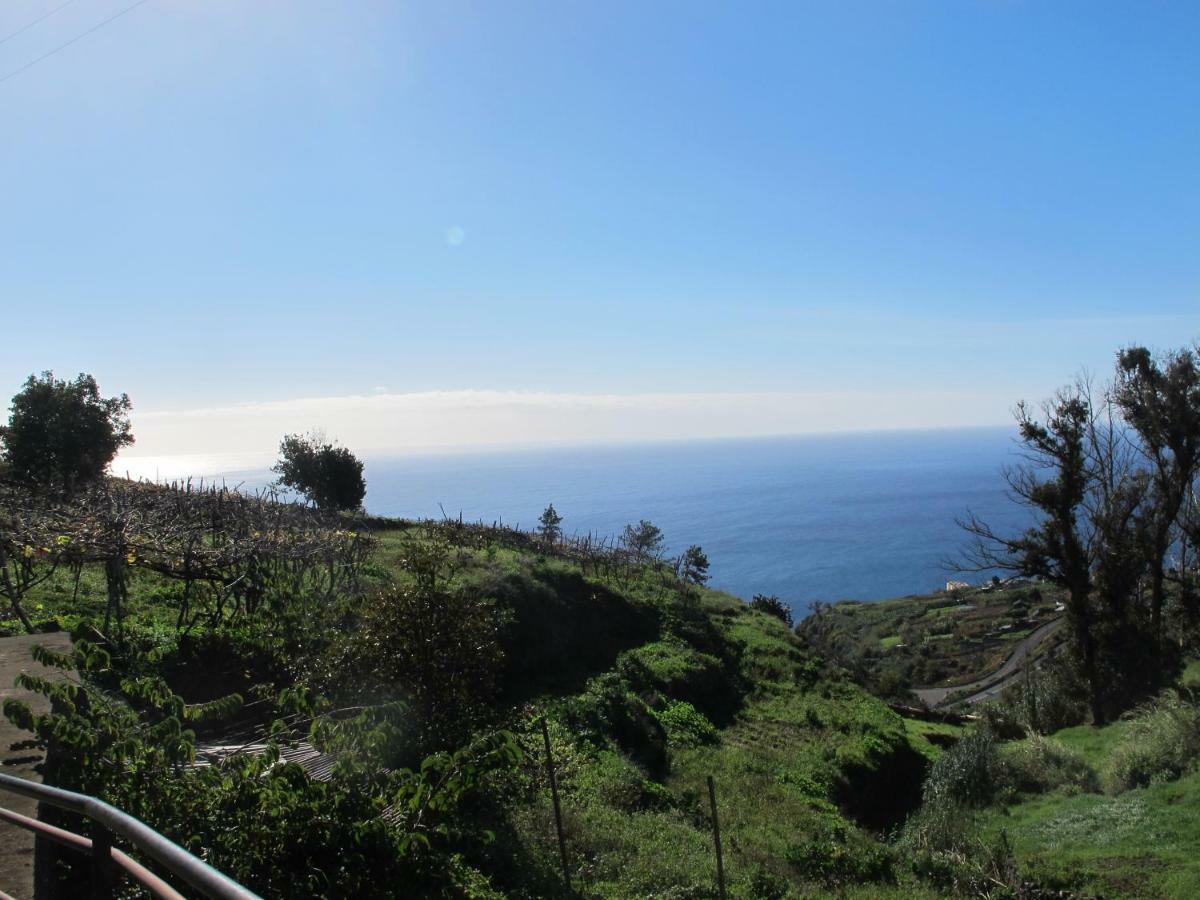 Blooming Botanic Houses Estreito Da Calheta 外观 照片