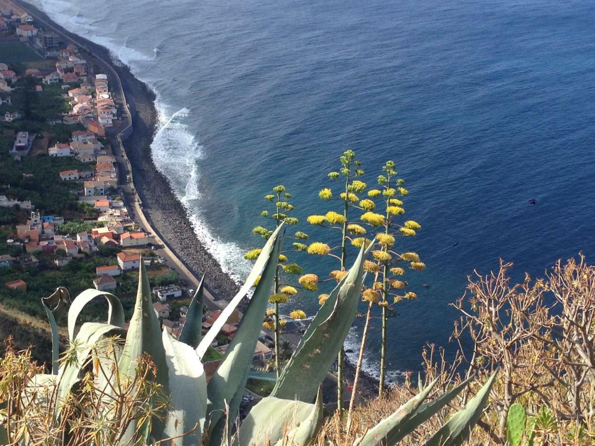 Blooming Botanic Houses Estreito Da Calheta 外观 照片