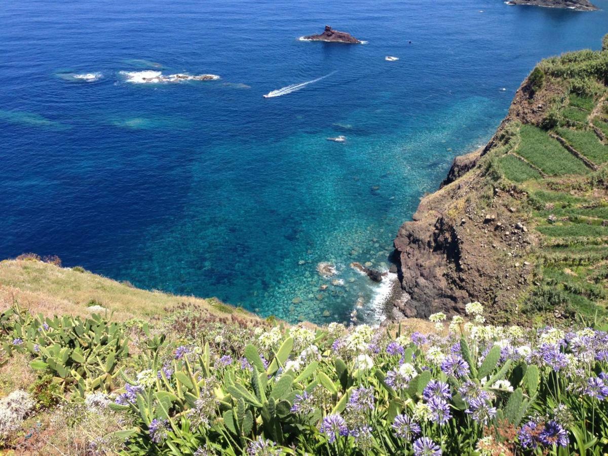 Blooming Botanic Houses Estreito Da Calheta 外观 照片