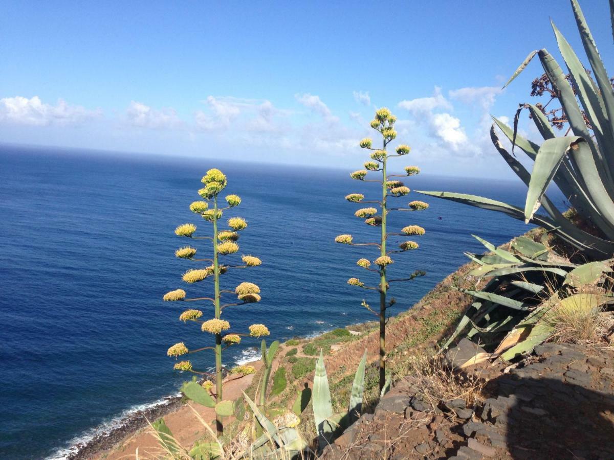 Blooming Botanic Houses Estreito Da Calheta 外观 照片