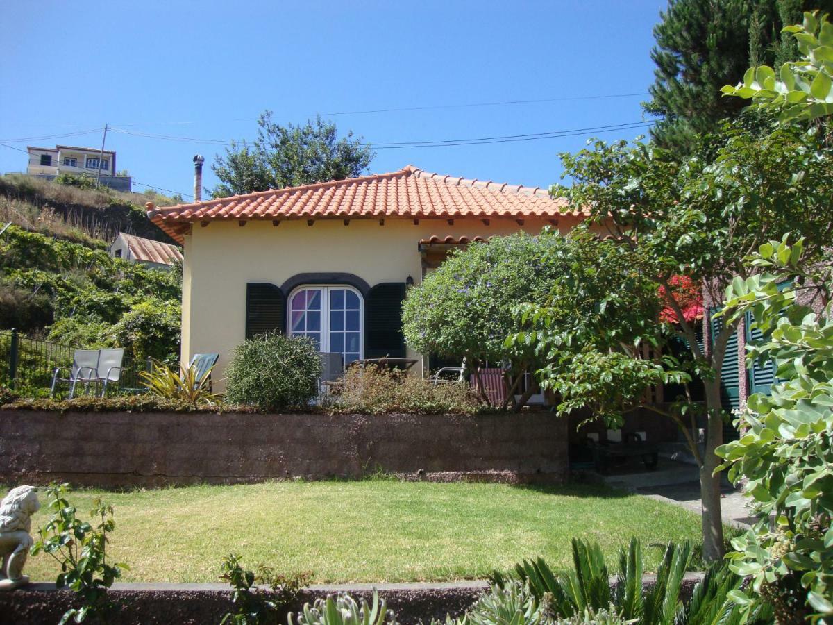 Blooming Botanic Houses Estreito Da Calheta 外观 照片