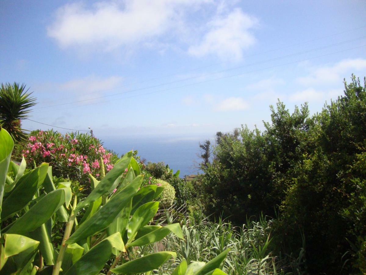 Blooming Botanic Houses Estreito Da Calheta 外观 照片