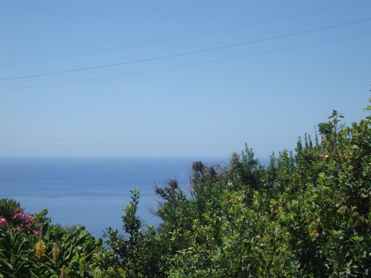 Blooming Botanic Houses Estreito Da Calheta 外观 照片