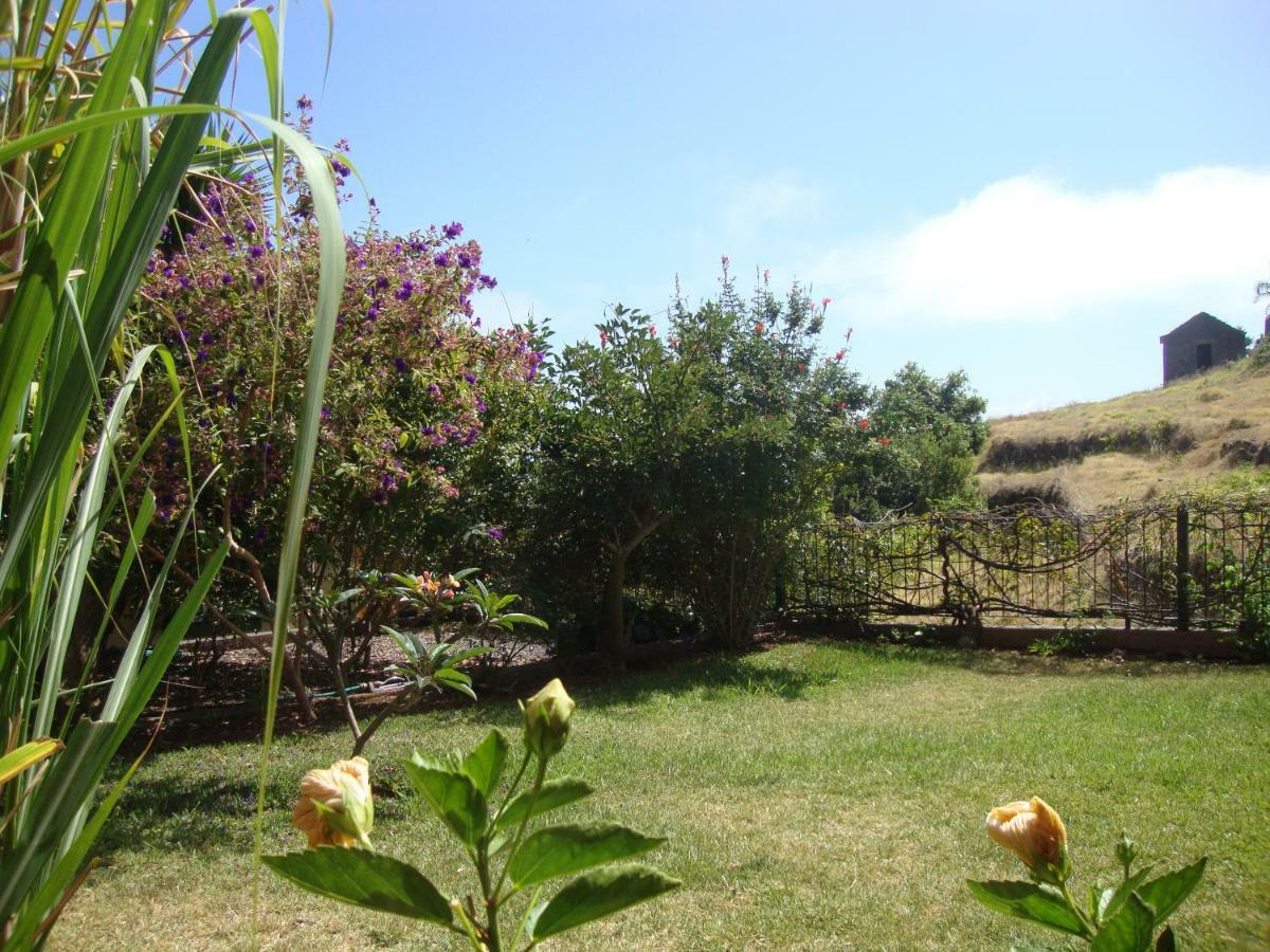Blooming Botanic Houses Estreito Da Calheta 外观 照片