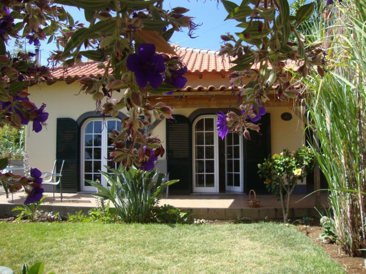 Blooming Botanic Houses Estreito Da Calheta 外观 照片